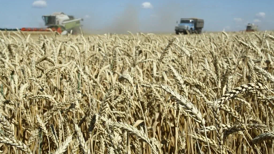 Саратовская область впервые вошла в первую пятерку регионов России по намолоту зерна