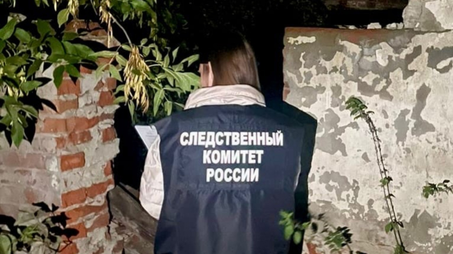 Следователи: подросток сорвался с мельницы по неосторожности