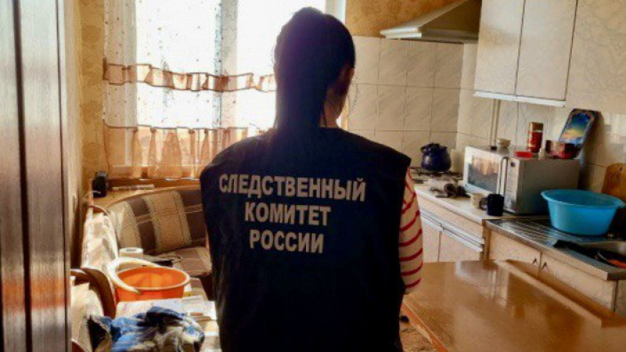 В Саратовской области мужчина зарезал мать в пьяной ссоре: ему грозит до 15 лет тюрьмы