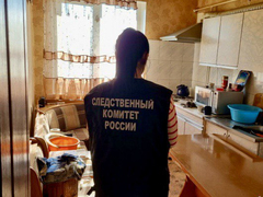 В Саратовской области мужчина зарезал мать в пьяной ссоре: ему грозит до 15 лет тюрьмы