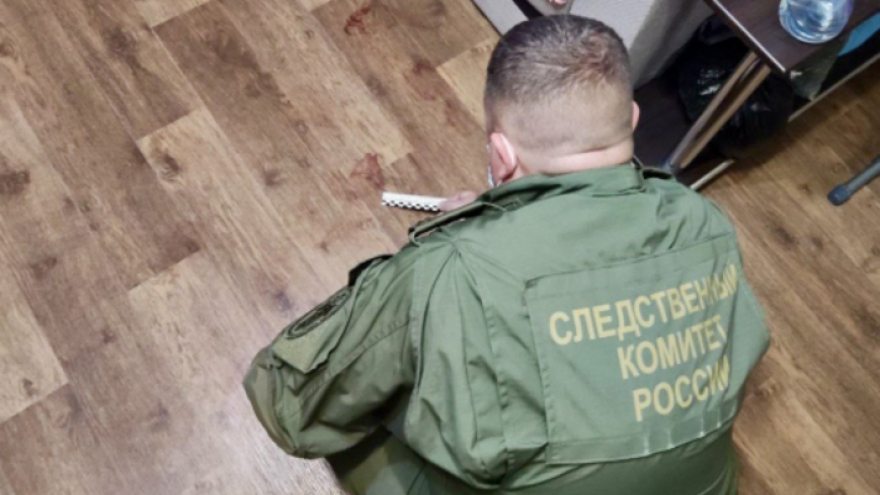Убийство с особой жестокостью: на теле 10-летней девочки нашли ожоги и множество ножевых ран