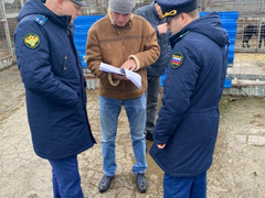 Прокуратура заинтересовалась нарушениями при отлове бездомных собак