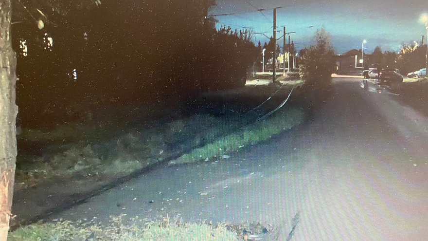 Водитель пятнадцатой врезался в дерево и бросил пострадавшего пассажира