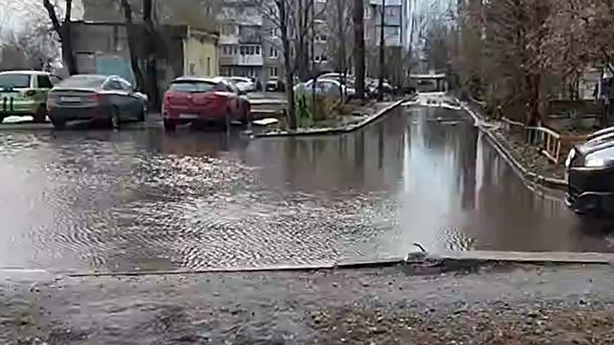 Словно квест: в Саратове пожаловались на непересыхающую лужу около парка Гагарина