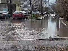 Словно квест: в Саратове пожаловались на непересыхающую лужу около парка Гагарина