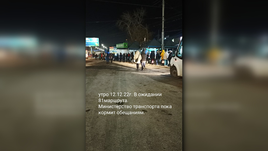 Саратовцы вновь пожаловались на очередь к 81-й маршрутке