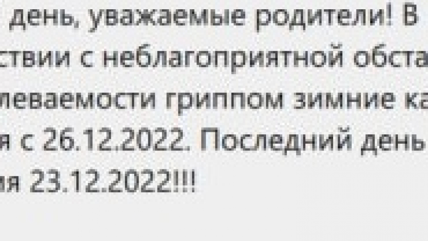 В Саратовской области из-за эпидемии гриппа досрочно начнутся зимние каникулы