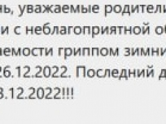 В Саратовской области из-за эпидемии гриппа досрочно начнутся зимние каникулы