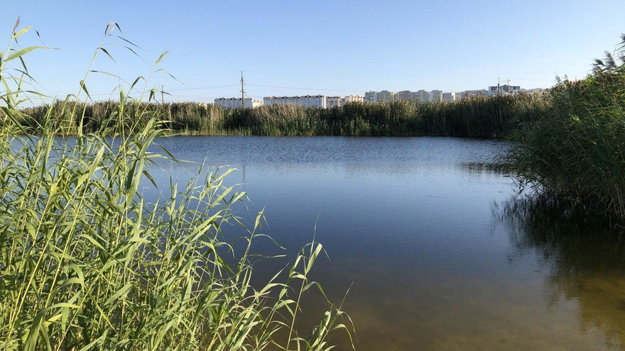 Власти Саратова отдают частникам парк в Юбилейном и огромный пруд в Елшанке