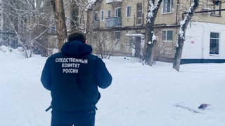 В Энгельсе собака укусила семилетнюю девочку в лицо