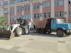 На проспекте Столыпина начали менять землю для высадки новых деревьев