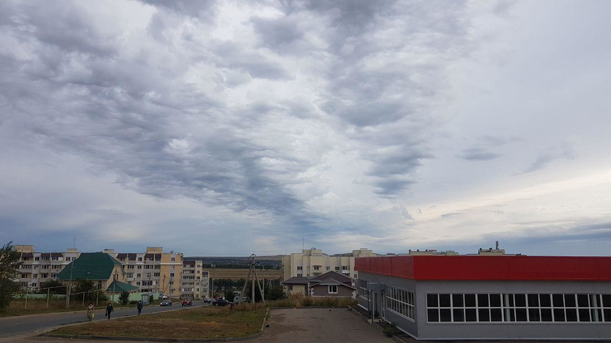 Погода в Саратове: ожидается теплый день с грозой