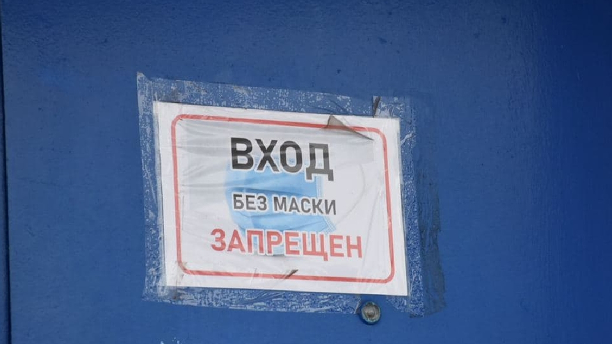 Саратовский министр: корь завозят цыгане из Дагестана, Чечни, Московской и Волгоградской областей
