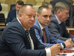 Губернатор попросил больше не допускать гибели высаженных в Саратове деревьев