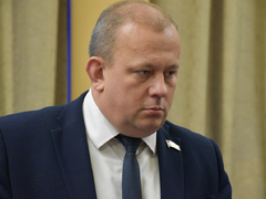 Губернатор попросил больше не допускать гибели высаженных в Саратове деревьев