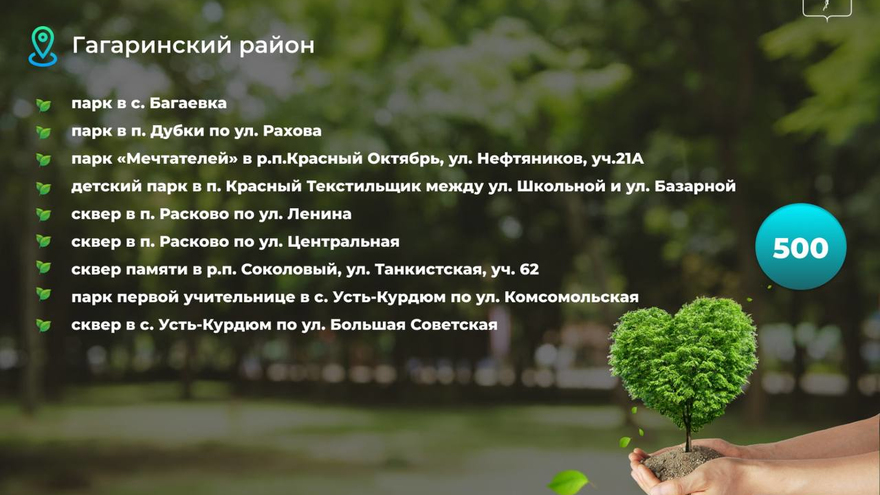 В Саратове осенью высадят 1,5 тысячи деревьев: адреса