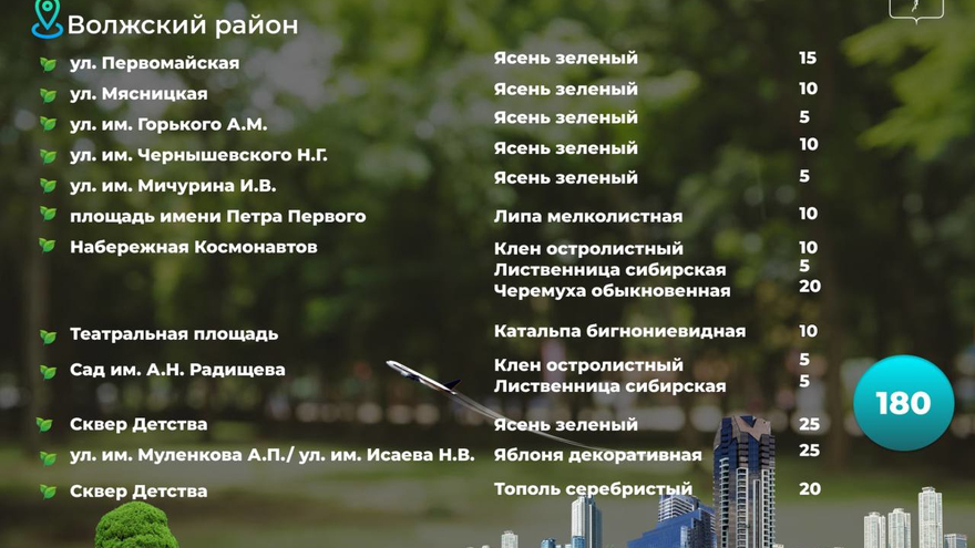 В Саратове осенью высадят 1,5 тысячи деревьев: адреса