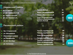 В Саратове осенью высадят 1,5 тысячи деревьев: адреса
