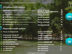 В Саратове осенью высадят 1,5 тысячи деревьев: адреса