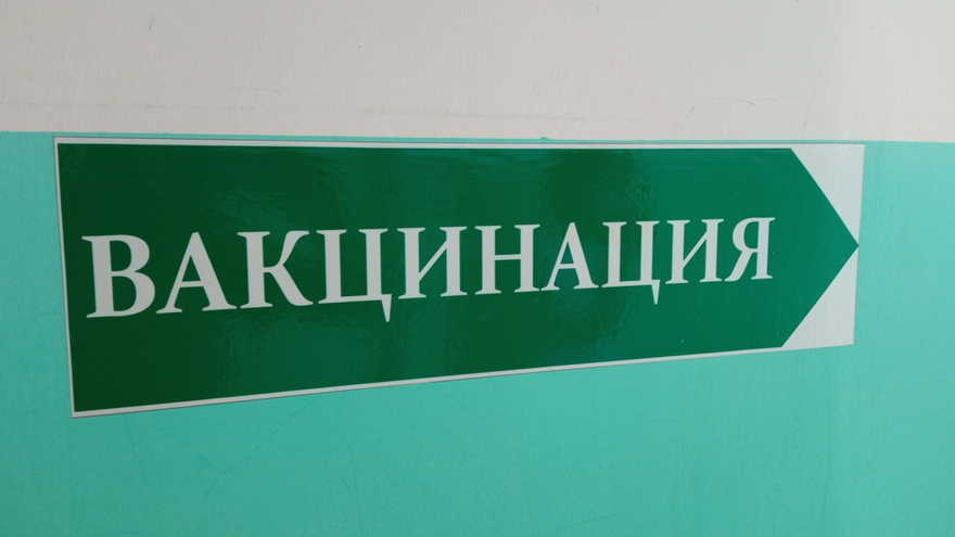 В Саратовской области ждут миллион доз вакцины от гриппа