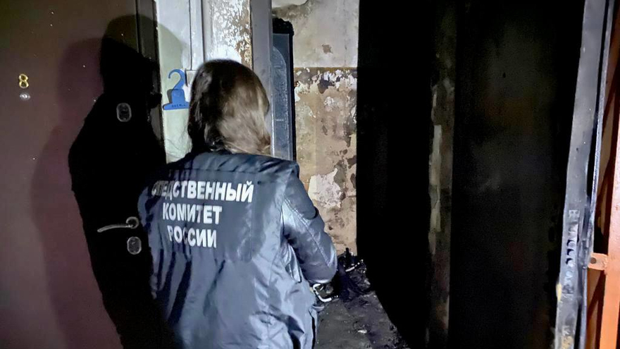 Трое детей погибли на пожаре в Саратовской области