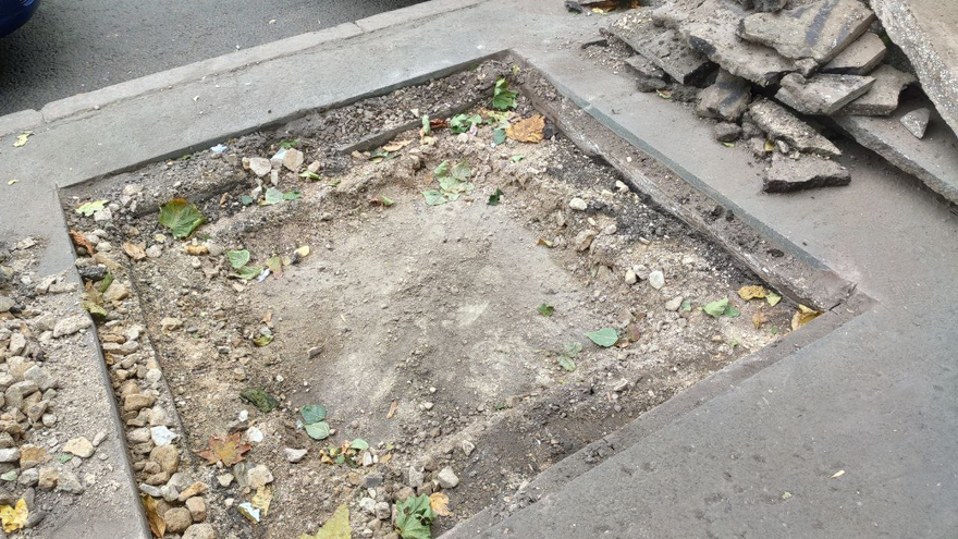 На Московской вырезают тротуар для высадки деревьев