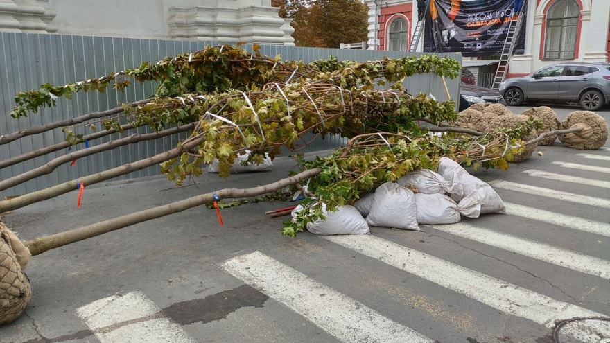 На Московской вырезают тротуар для высадки деревьев