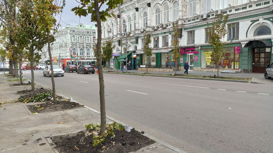 На Московской вырезают тротуар для высадки деревьев