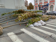 На Московской вырезают тротуар для высадки деревьев