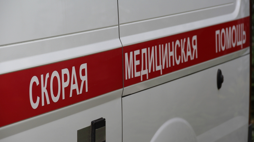 В Саратовской области нашли обглоданный животными труп мужчины