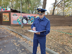 Смерть десятков животных на пожаре в контактном зоопарке: рассматривается версия о поджоге
