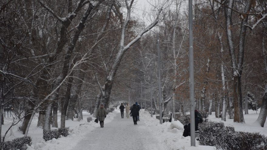 Погода в Саратовской области: теплая среда с дождем
