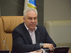 Саратовским депутатам сделали замечание с самого верха из-за конфликта вокруг Столыпинского парка