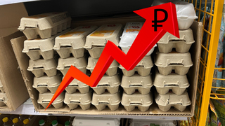 В Саратовской области яйца подорожали с начала года на 44%