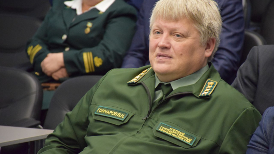 Иногородние лесопользователи заплатили Саратовской области 34 миллиона
