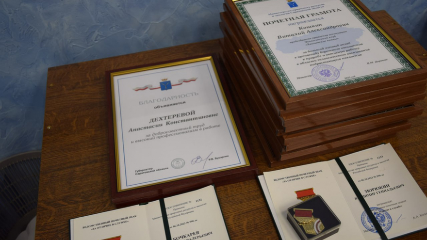 Иногородние лесопользователи заплатили Саратовской области 34 миллиона