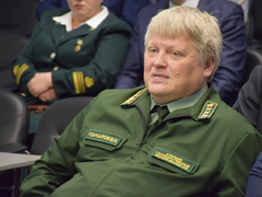 Иногородние лесопользователи заплатили Саратовской области 34 миллиона