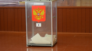 Лучше, чем яйцо Кощея: саратовский избирком пообещал надежную защиту бюллетеней