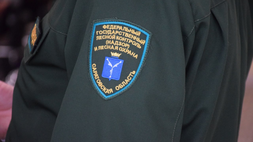 В Саратовской области будут выращивать больше деревьев