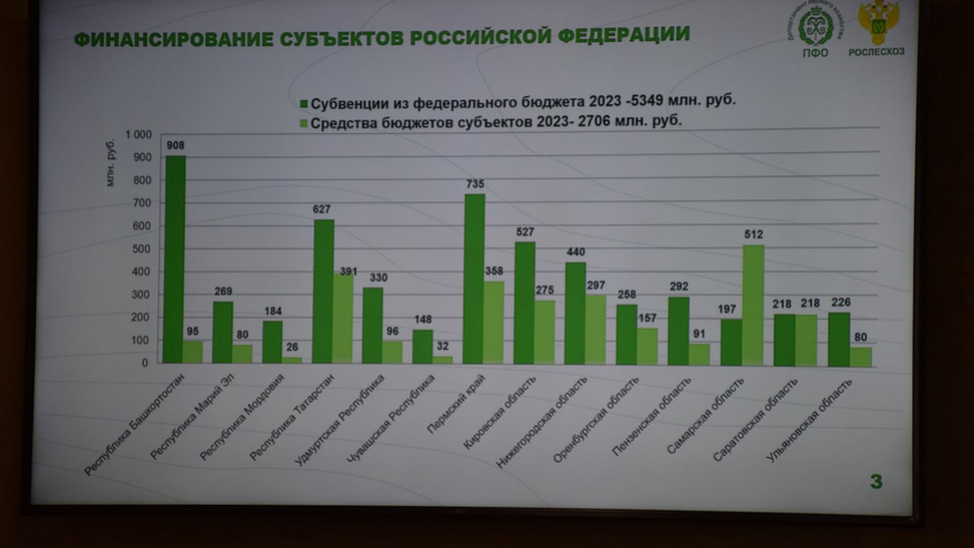 В Саратовской области будут выращивать больше деревьев