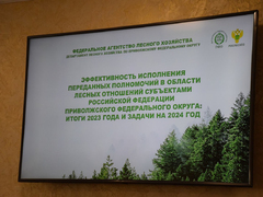 В Саратовской области будут выращивать больше деревьев