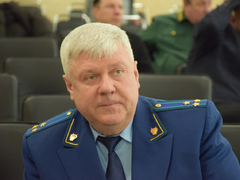 В Саратовской области будут выращивать больше деревьев