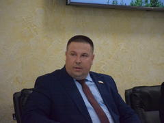 В Саратовской области будут выращивать больше деревьев