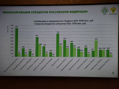 В Саратовской области будут выращивать больше деревьев