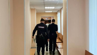 Дело о собаках-фантомах: арестованы три фигуранта