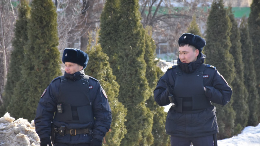 Екатерина Мизулина: за полгода в России поймали 17 педофилов и 36 живодеров 