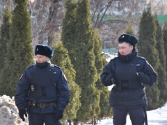 Екатерина Мизулина: за полгода в России поймали 17 педофилов и 36 живодеров 