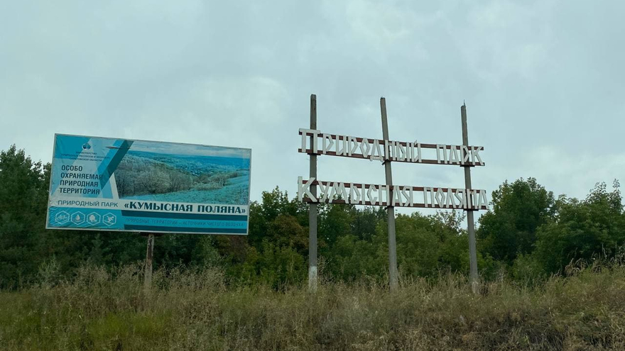 На Кумысной поляне будут травить мышей