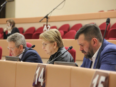 Саратовским депутатам потребовалась пауза, чтобы осознать бюджетные поправки на 5 миллиардов
