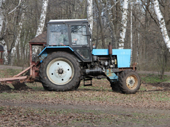 Губернатор Бусаргин высаживал сосны на Кумысной поляне